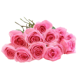 Rosas sueltas a la carta