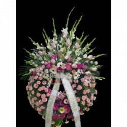 Corona superior rosa